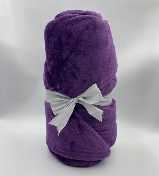 Coral Fleece Velvet Blanket (Purple)