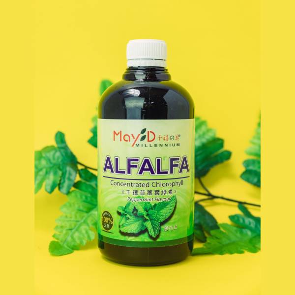 MAY D ALFALFA CONCENTRATED CHLOROPHYL 叶绿素 500ML