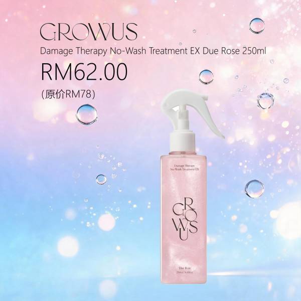 Damage Therapy No-Wash Treatment EX Due Rose 250ml